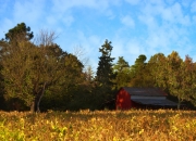 爱游戏世界杯2026-巴雷拉一锤定音，那不勒斯主场力克哥伦比亚，一场跨越洲际的足球对话