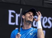 爱游戏官方-温网绝杀澳网，穆雷惊艳四座