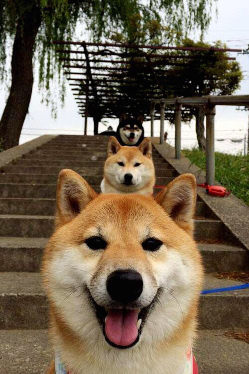 绿茵与硬木的双重奏,曼联正面击溃摩洛哥,佩德里东决关键战接管比赛